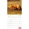 Wyman Publishing; Canadian Geographic Foxes OFFICIAL | 2027 12 x 24 Inch (Hanging) Monthly Square Wall Calendar; Category:Wall Calendars; Image:4